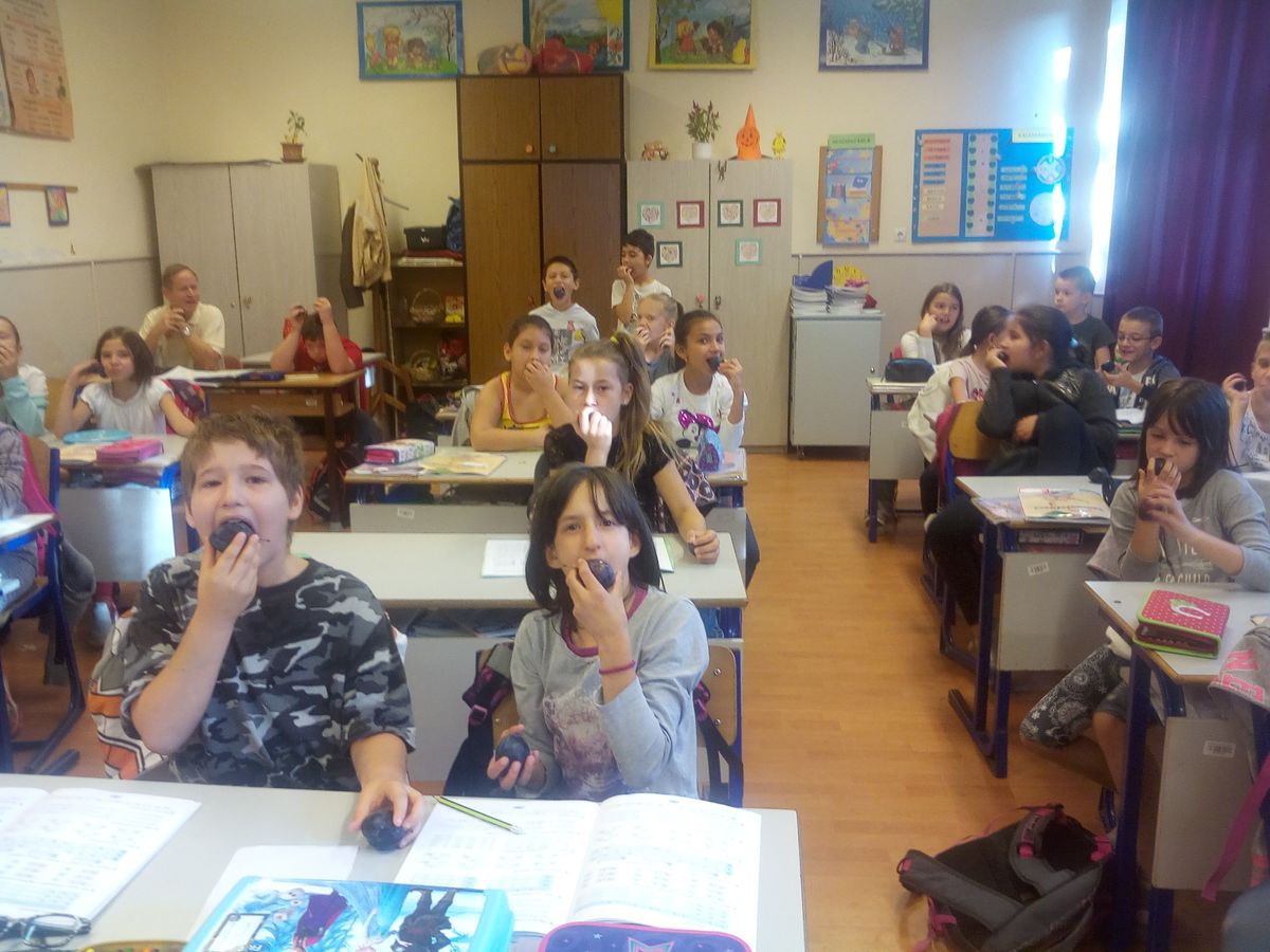 gyumolcskostolo_33.jpg